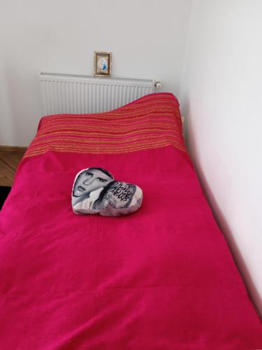 a picture of a person laying on a pink bed at Сихів Зелена Пасічна Новобудова ЖК Первоцвіт, Вулецька in Lviv