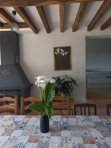 a dining room table with a plant on it at Les hirondelles in Les Gallichets