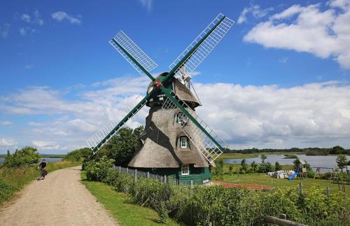 a windmill on the side of a dirt road at Ferienwohnung Seebergweg in Maasholm-Bad