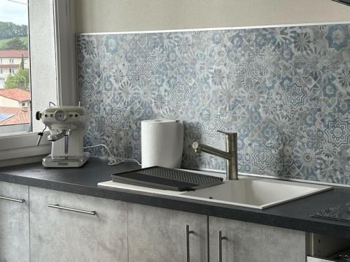 un comptoir de cuisine avec un évier et un mitigeur dans l'établissement Les alouettes, à Aurillac