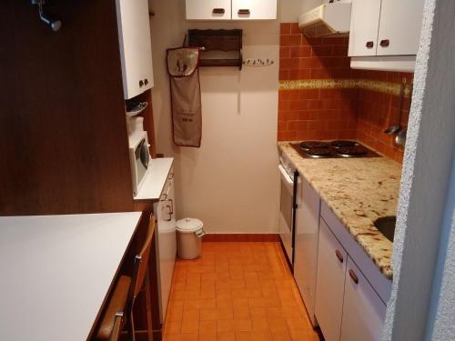 une petite cuisine avec un évier et un comptoir dans l'établissement Studio pour 3 à Châtel, proche remontées mécaniques et centre - FR-1-676-110, à Châtel