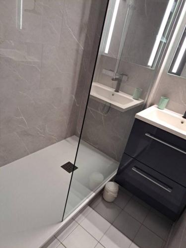 une salle de bain avec douche et lavabo dans l'établissement Archipel III, T2 mezzanine, parking, piscine, wifi, au Cap d'Agde