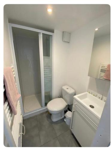 une salle de bain avec toilettes, douche et lavabo dans l'établissement MiCASA, Studio avec Clim hyper centre, à Tours