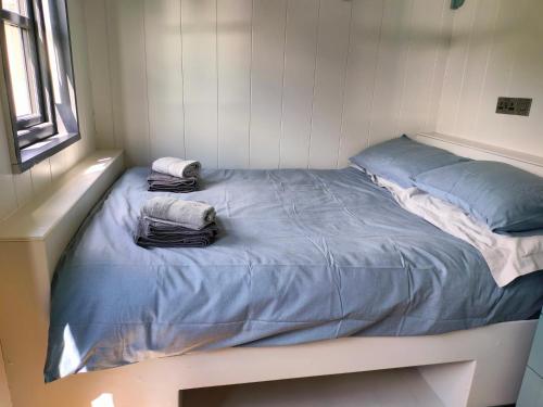 Gallery image of Shepherd's Hut in nature in Newtown Mount Kennedy