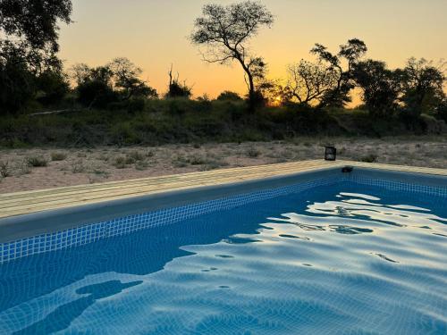 Bazén v ubytování Kruger Untamed - Tshokwane River Camp nebo v jeho okolí