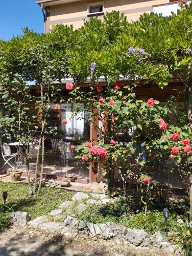 a garden with pink flowers and roses at Petalo Rosso b&b in Lenola
