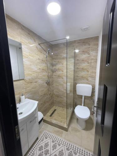 a bathroom with a shower and a toilet and a sink at La Lenuța În Susani in Breb