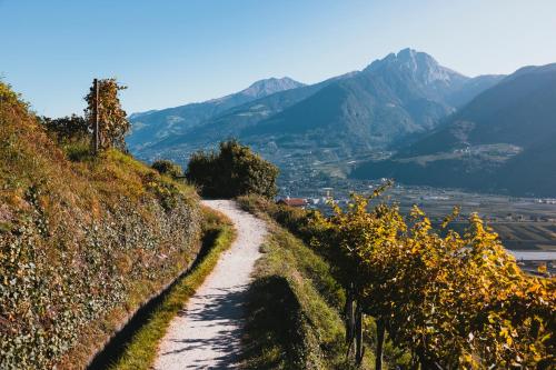 a dirt road on a hill with mountains in the background at Der Waldhof in Vollan