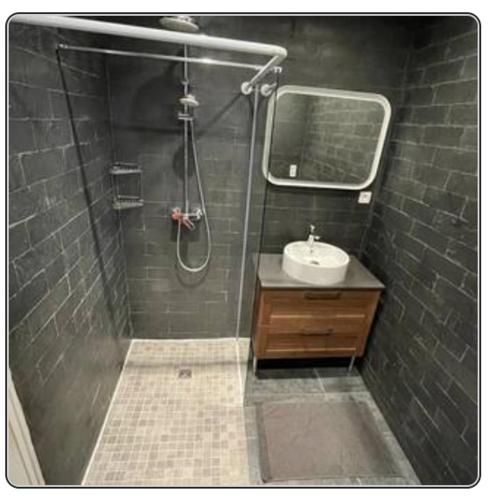 une salle de bain avec douche et lavabo dans l'établissement GRAND APPARTEMENT Paris 10, à Paris