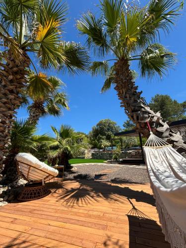 two hammocks and two palm trees on a patio at La Pura Vida 34 in Pignan