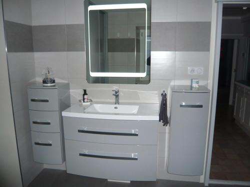 a bathroom with a sink and a mirror at Le Rempart in Guebwiller