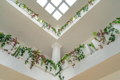an image of a white room with plants on the ceilings at Hotel Calimera Fido Gardens in Cala d´Or
