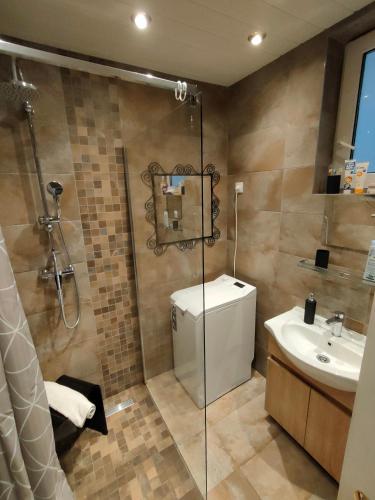 a bathroom with a shower and a toilet and a sink at Silver Lake Apartman in Balatonboglár