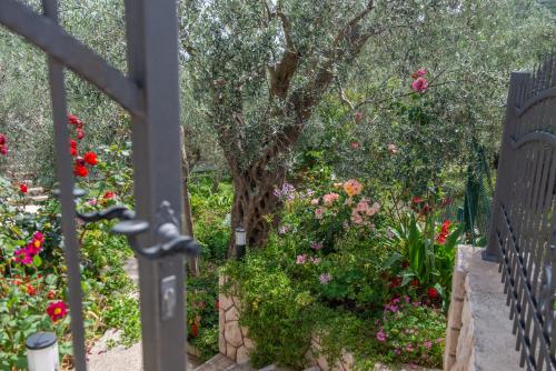 Gallery image of Rustic Olive House in Ulcinj