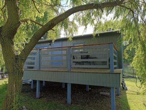 a green building with a tree in front of it at Tiny House & Alpaka-Erlebnis im Ruhner Land - Naturidylle pur in Ziegendorf