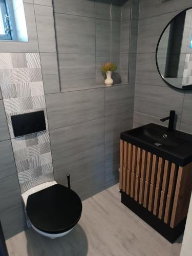 a bathroom with a black toilet and a sink at Tiny House & Alpaka-Erlebnis im Ruhner Land - Naturidylle pur in Ziegendorf