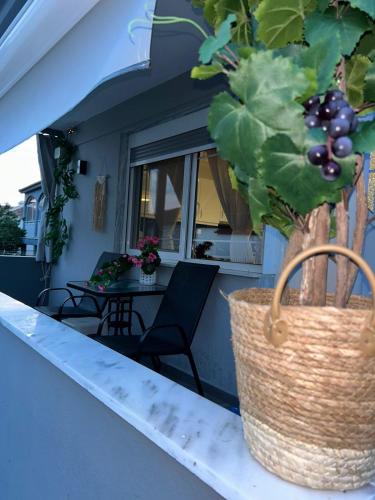 a basket of grapes sitting on the counter of a porch at Amaya Pine Rooms in Keramotí
