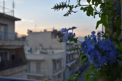 a bunch of blue flowers sitting on a branch at Thissio Aurora - Vintage Apartment in Athens