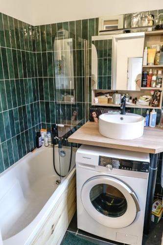 une salle de bain avec une machine à laver et un lavabo dans l'établissement T2 Cozy sur cour - Stade de France, à Saint-Denis