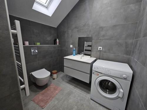 a bathroom with a washing machine and a sink at O'Pains d'Epices in Horbourg