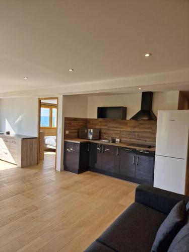 Il comprend un salon avec une cuisine et un canapé. dans l'établissement Appartement Les Montagnes de Saxel, à Saxel