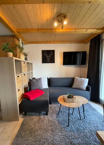 Ferienwohnung Gemmiblick