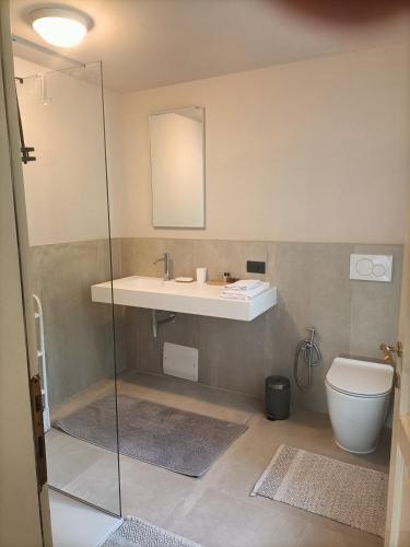 a bathroom with a sink and a toilet at La Villa delle Rose in Carpi