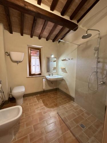 a bathroom with a shower and a toilet and a sink at Terra dei Bisonti in Panicale