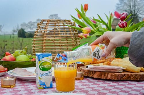 a picnic table with food and a glass of orange juice at Panorama wellnesslodges x Vakantiepark Hölte in Rijssen