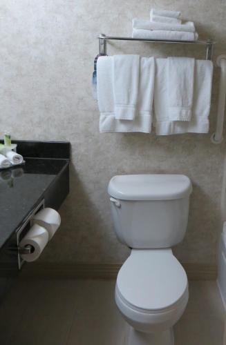a bathroom with a toilet and a sink and towels at Quality Inn & Suites Oakwood Village - Cleveland South in Oakwood
