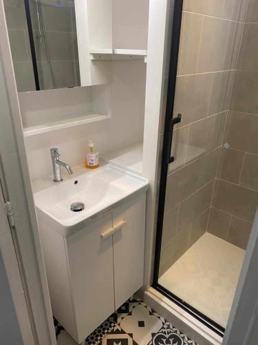 une salle de bain avec un lavabo et une douche dans l'établissement Charming studio in Paris near the Eiffel Tower, à Paris