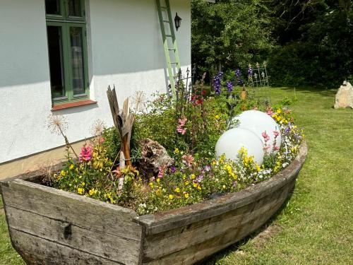 Κήπος έξω από το Ferienhaus Barlin 2