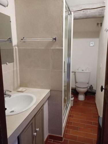 une salle de bain avec un lavabo et des toilettes dans l'établissement Le Tilleul, à Lacoste