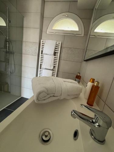 a bathroom with a sink with a towel on it at Le Domaine de Darvoy in Darvoy
