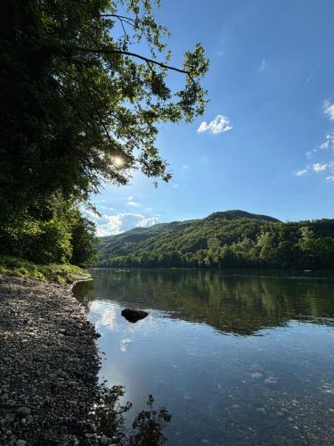 a view of a river with trees on the side at Apartman Zlatija in Bajina Bašta