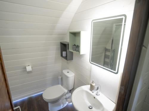 a bathroom with a white toilet and a sink at Foxes Den in South Cerney
