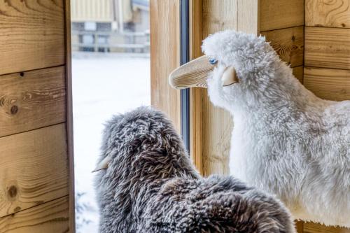 Photo de la galerie de l'établissement Grand chalet récent avec Jacuzzi, ski au pied, à Praz-sur-Arly