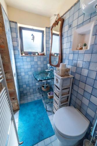 a bathroom with a toilet and a sink and a mirror at Podere Poggiolo in Trequanda