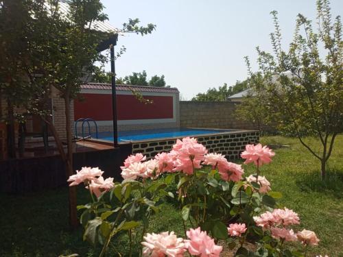 Πισίνα στο ή κοντά στο Villa Vilish