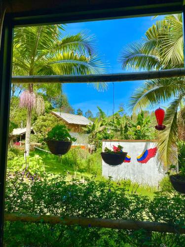 a window view of a yard with palm trees and plants at Hotel Marrokos Aeropuerto José María Córdova in Rionegro