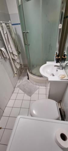 une salle de bain avec une douche, des toilettes et un lavabo dans l'établissement Paris, à Paris