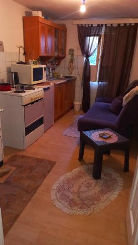 Köök või kööginurk majutusasutuses Family house
