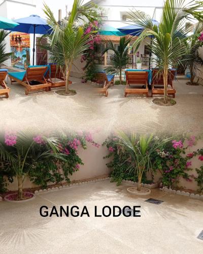 a lobby with chairs and palm trees in a resort at Le GANGA LODGE in Ndangane