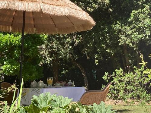a table and umbrella with a table and chairs at Douceur des Pins in Saint-Trojan-les-Bains