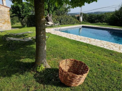 a basket next to a tree next to a swimming pool at Podere Poggiolo in Trequanda
