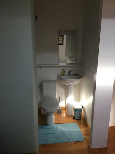 une petite salle de bain avec toilettes et lavabo dans l'établissement Nid douillet plein centre, à Bordeaux