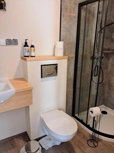 a bathroom with a toilet and a shower at Agroturystyka Nasza Bajka in Pieniężno