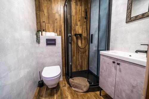 a bathroom with a shower and a toilet and a sink at Niebieska Willa in Jastarnia