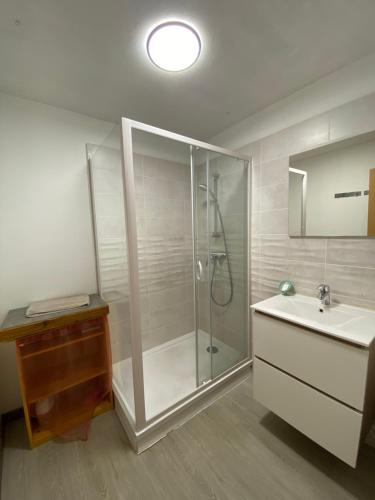 une salle de bain avec douche et lavabo dans l'établissement La faucille, à Praranger