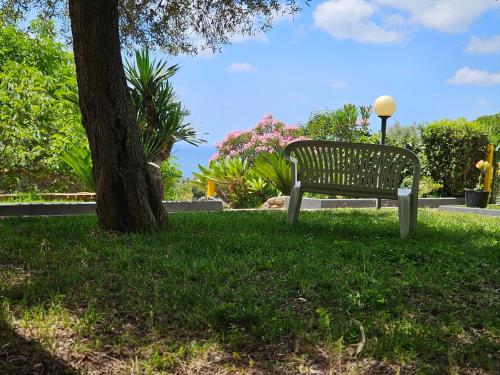 a park bench sitting in the grass next to a tree at Case Vacanze Macchione in Capo Vaticano